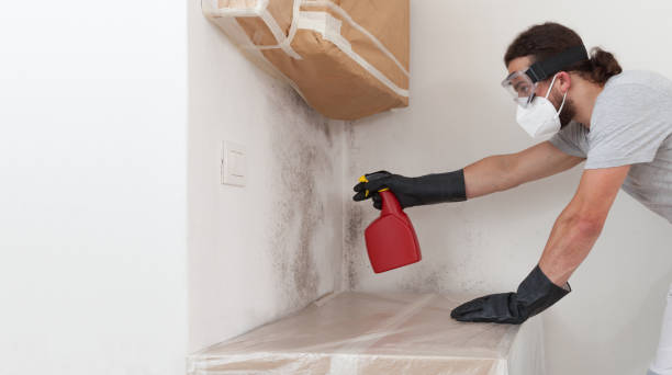 Professional Basement Mold Remediation technician working in Bloomington, MN