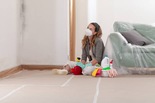 Reliable Basement Mold Remediation contractor in Bloomington, MN by Car Mold Remediation